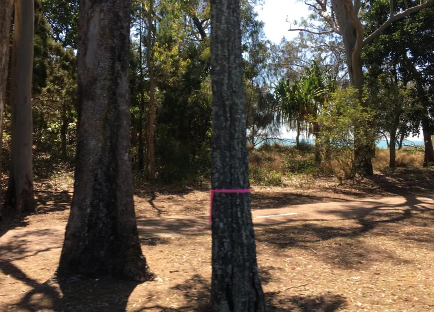The Bay Beach Shack, Hervey Bay Apartman
